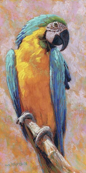 Macaw Art, Wallpaper Dog Aesthetic, Parrot Painting, Animals And Pet Supplies, Dog Tattoo Ideas, Wallpaper Dog, Parrots Art, Afrique Art, Aesthetic Dog