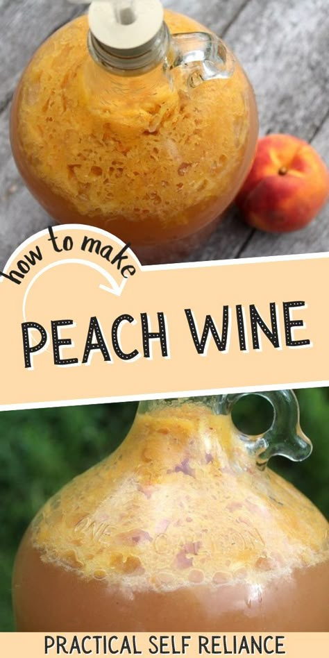 Peach Mead, Fermented Peaches, Peach Wine Recipe, Maple Drinks, Herbal Wine, Mead Brewing, Fruit Wine Recipes, Mead Recipes, Wine Making Recipes