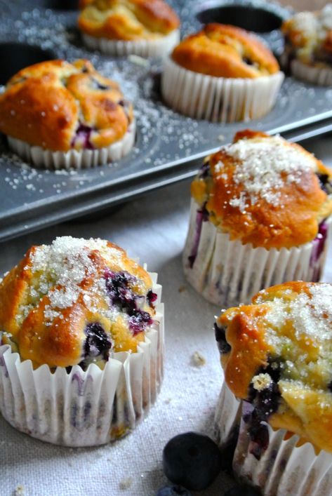 Blueberry Ricotta Muffins, Bluberry Muffins, Ricotta Recipes Dessert, Ricotta Dessert, Ricotta Muffins, Blueberry Ricotta, Breakfast Meat, Blueberry Muffins, Muffin Tins