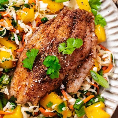 Pan Seared Mangrove Snapper with Mango Coleslaw Mangrove Snapper Recipe, Mango Coleslaw, Mangrove Snapper, Turkey Meatballs Healthy, Snapper Recipes, Seafood Lunch, Snapper Fish Recipes, Snapper Fish, Mango Slaw