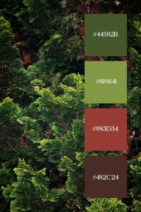 Brown and Green Color Palette: Dense greenery with a backdrop of brown bark, showcasing the vibrant hues of the leaves. The interplay of green and brown creates a deep, forest-like ambiance. Complementary Green Colors, Green Complimentary Color Palette, Spring Forest Color Palette, Color Palettes With Green, Green Color Palette Combination, Tropical Colour Palette, Color Pallete Green, Green Brown Color Palette, Green Pallet Color