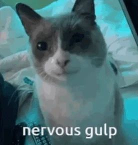 Found on iFunny Gulp Reaction Pic, Nervous Reaction Pic, Nervous Reaction, Nervous Meme, Nervous Expression, Baby Keem, Meme Cats, Cat Reaction, Cat Text