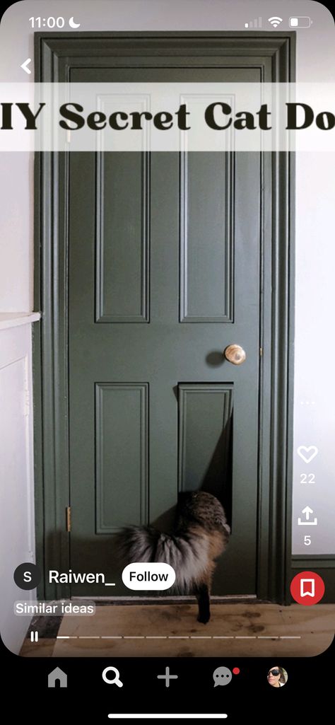 Cat Flap, Classic Doors, Cat Door, Old Cats, Bedroom Doors, Door Panel, Diy Door, Litter Box, Panel Doors