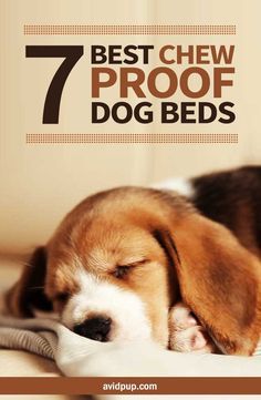 Wooden Dog Bed Diy, Dog Bed Pink, Chew Proof Dog Bed, Dog Life Hacks, Durable Dog Bed, Indestructable Dog Bed, Cute Dog Beds, Dog Crate Pads, Traditional Cushions