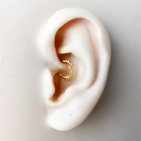 Dainty Branch Vines Nature 18k Gold Plated Sterling Silver - Etsy Australia Dainty Daith Piercing, Vines Nature, Daith Hoop, Daith Rings, Daith Jewelry, Piercing Septum, Helix Hoop, Daith Earrings, Piercing Ring