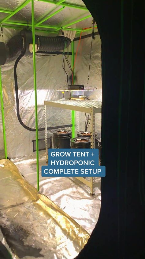 Deep Water Culture, Hydroponic Systems, Winter Vegetables, Grow Tent, Hydroponics System, Grow Light, Ventilation System, Deep Water, Growing Indoors