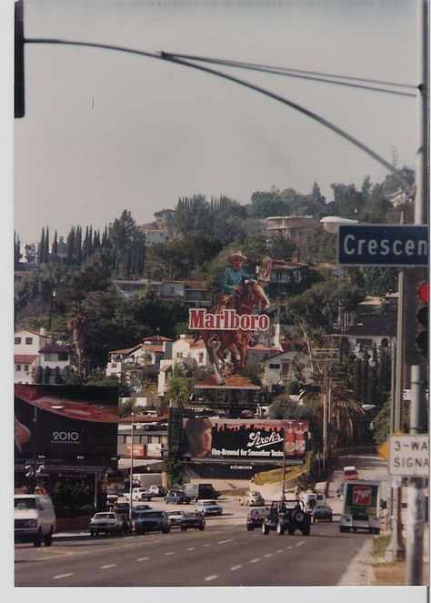 Looking west down Sunset Blvd. from Crescent Heights Blvd. Los Angeles, CA 1984 Los Angeles Aesthetic, Burbank California, Sunset Blvd, Laurel Canyon, Sunset Strip, Universal Studios Hollywood, Vintage Los Angeles, Vintage California, California Love