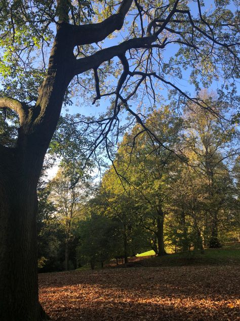 Sefton Park in Autumn Park In Autumn, Sefton Park, Diet And Nutrition, Submarine, Dreaming Of You, Healthy Lifestyle, England, Lifestyle