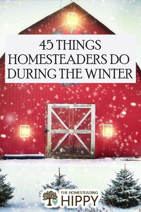 Winter Homesteading, Homesteading Diy Projects, Homestead Layout, Self Sufficient Homestead, Happy Homemaking, Modern Homesteading, Homesteading Diy, Homestead Farm, Time To Rest