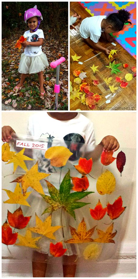 Make leaf collages with contact paper! Fun fall craft for kids to make. Contact Paper Fall Crafts, Baby Activities 1 Year, Bohemian Crafts, Leaf Collage, Fun Fall Crafts, Easy Fall Crafts, Leaf Crafts, Crafts For Seniors, Fall Crafts For Kids