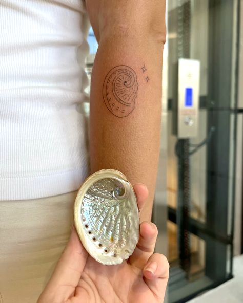 #stickers #shell #smalltattoo #smalltattoosforwomen #smalltattoodesigns #finelinetattoo #melbourneartist #tattoosforwomen #tattooed #tattooinspiration Kalula Tattoo, Shell Tattoo, Shell Tattoos, Small Tattoo Designs, Fine Line Tattoos, Abalone Shell, Small Tattoos, Tattoos For Women, Shells