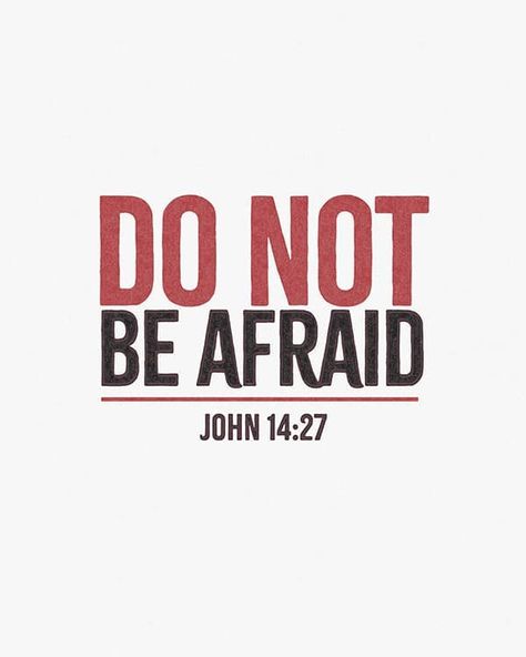 Do not be afraid Peace I leave with you; my peace I give you. I do not give to you as the world gives. Do not let your hearts be troubled and do not be afraid. - John 14:27 #newtestament #john #peace My Peace, Encouraging Quotes, Do Not Be Afraid, Seeking God, Daily Bible Verse, Daily Bible, Simple Words, Christian Living, Christian Women