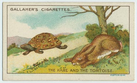 The hare and the tortoise. From New York Public Library Digital Collections. The Hare And The Tortoise, Hare And The Tortoise, Rabbit Run, Digital Gallery, Library Art, Mallard Duck, New York Public Library, Mallard, Still Image