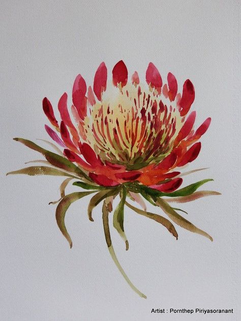 Items similar to Flower Painting , Flowers Watercolor Painting , Print from Original ,arts inspiration & décor no.3 on Etsy Watercolor Art Flowers, Protea Art, Watercolor Projects, Watercolour Inspiration, Watercolour Flowers, Water Colours, Watercolor Flower Art, Flower Watercolor, 수채화 그림