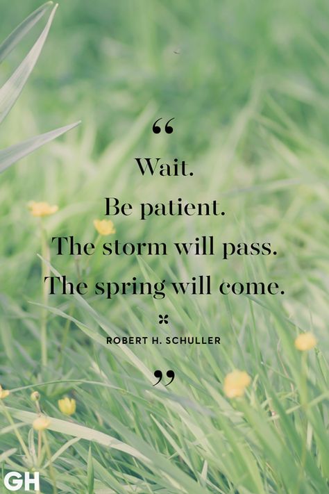 35 Best Easter Quotes - Famous Sayings About Hope and Spring Spring Messages, Spring Message, Famous Sayings, Season Quotes, Spring Quotes, Easter Quotes, Father In Heaven, Be Calm, Our Father In Heaven