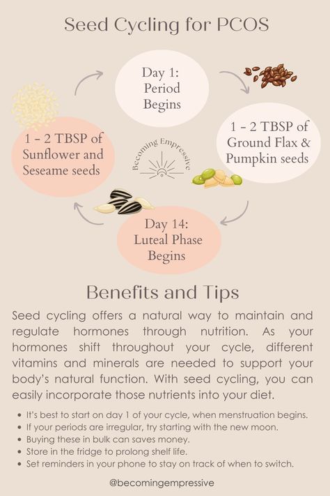 Looking balance your hormones the natural way? Struggling to find remedies that work? Try seed cycling. It's an easy way to incorporate all the vitamins and minerals your body needs. It's also a great way to of getting to know your cycle. Seed Cycling Hormones, Seed Cycling, Balance Your Hormones, Fertility Health, How To Regulate Hormones, New Moon Rituals, Healthy Beauty, Juicing Recipes, Pumpkin Seeds