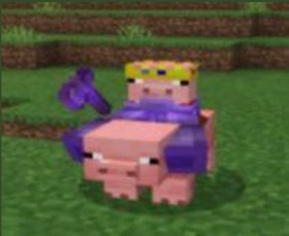 Cursed Minecraft, Minecraft Images, Technoblade Never Dies, Minecraft Mobs, Minecraft Funny, Dsmp Fanart, Minecraft Memes, Dream Artwork, Minecraft Fan Art