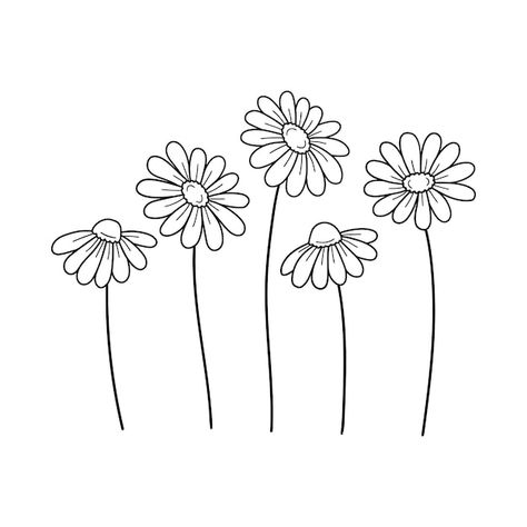 Daisy Flower Drawing, Daisy Drawing, Wildflower Drawing, Botanical Line Drawing, Hand Embroidery Patterns Free, Line Vector, Flower Outline, Outline Designs, Outline Drawing