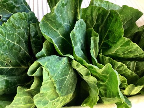 Collards greens Leafy Green Vegetables, Good Sources Of Iron, Radish Greens, Sources Of Iron, Raw Spinach, Turnip Greens, Beet Greens, Mustard Greens, Collard Greens