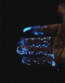 j_buzzi on ig Cyan Stimboard, Space Stimboard, Dark Blue Stimboard, Alien Stimboard, Water Stimboard Gifs, Cosmic Aesthetic, Haru Kato, Sensory Gifs, Stimboard Gifs