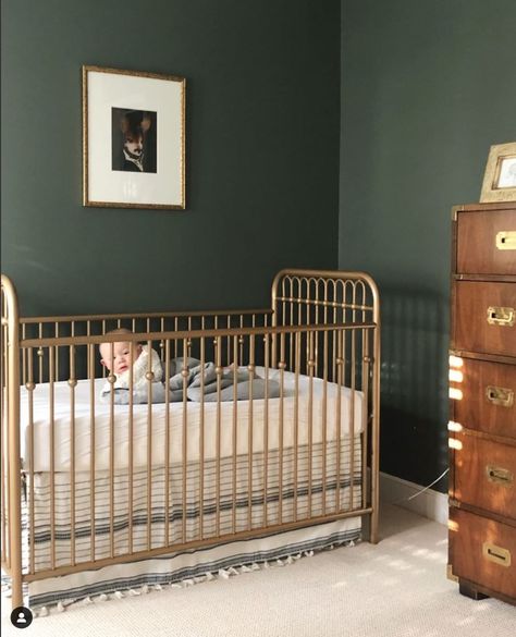 Green Nursery Paint Colors, Green Nursery Paint, Brass Crib, Dark Green Nursery, Mini Homestead, Green Nursery Boy, Nursery Paint, Gold Crib, Nursery Green