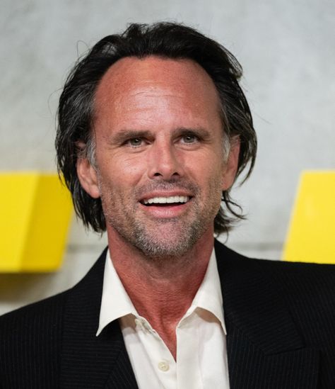 Batman Rogues, Walton Goggins, The Enchantress, Vice Principals, The Ghoul, The Fallout, The Siren, The Dancer, Brain Rot