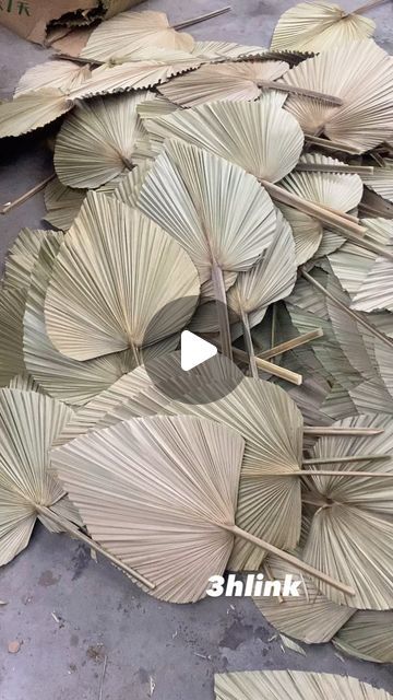 Leaf Ideas, Dried Pampas, Hotel Decor, Wholesale Flowers, Luxury Decor, Pampas Grass, How To Preserve Flowers, Palm Leaf, Palm Leaves