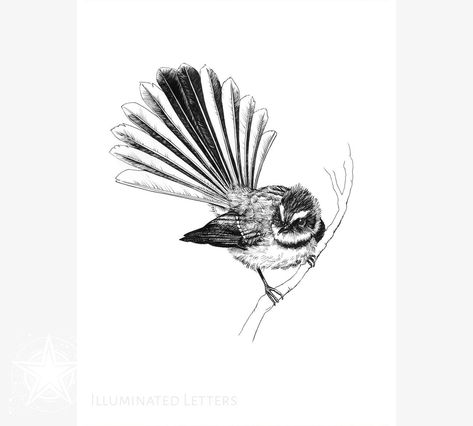 This Pen & Ink Drawings & Illustrations item by IlluminatedLetters has 13 favorites from Etsy shoppers. Ships from United States. Listed on 15 Sep, 2023 Fantail Tattoo, Bird Illustration Print, Black Ink Drawing, Ancient Tattoo, Home Decor Black, Ink Drawing Illustration, Birds Tattoo, Bird Drawings, Decor Black