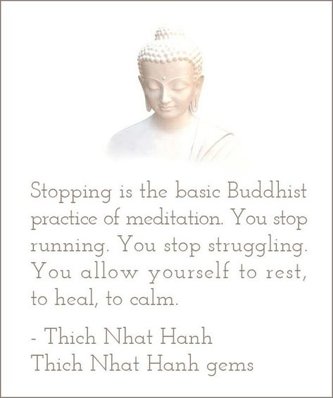 Thich Nhat Hanh gems Thich Nhat Hanh Photo, Practicing Presence, Social Activism, Thich Nhat Hanh Quotes, Buddha Quotes Life, Spirit Signs, Buddhist Wisdom, Buddhist Practices, Buddha Quotes Inspirational