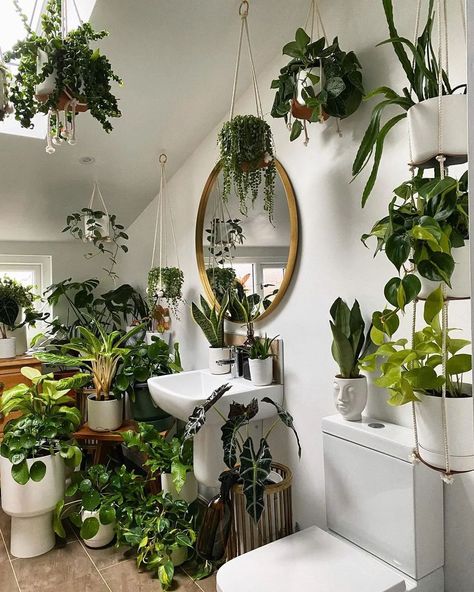 Take a look at @mervsjungle's bathroom. It's filled with a variety of plants, especially hanging ones, creating a peaceful escape. The greenery adds a refreshing and calm atmosphere, transforming the space into a mini oasis. With a few plant hangers and a love for greenery, you can create your own sanctuary. #MacramePlantHanger #MacrameLove #HomeDecorIdeas #BohoHomeDecor #ModernMacrame #ArtisanMade #CraftsmanShip #IndoorPlants #UrbanJungle #PlantParent #HousePlantCommunity #PlantStyling #Gre... Boho Bathroom Ideas, Indoor Plant Wall, Tropical Bathroom, Boho Bathroom Decor, Ivy Vine, Hanging Plant Wall, Unique Light Fixtures, Bathroom Plants, Artificial Succulents