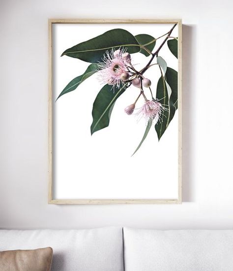 Eucalyptus Flower PrintPREMIUM PRINTED ARTWORKYour artwork will be professionally printed with top quality inks on beautiful, heavyweight matte fine art paper. The result is highly detailed images with vibrant colours. All prints are made-to-order and posted securely in a sturdy mailing tube within 3-5 business days. Tracking is provided for both Australian and International orders to ensure their safe arrival. No frame is included with purchase.HIGH QUALITY IMAGESAll art has been created using Eucalyptus Blossom, Apartment Concept, Eucalyptus Art, Gum Blossom, Eucalyptus Flower, Plant Styling, Botanical Photography, Native Print, King Protea