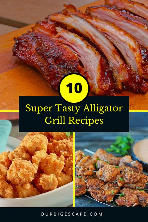 Cooking Gator Meat, Grilled Gator Recipes, Smoked Gator Recipe, How To Cook Gator Meat, Deep Fried Alligator, Crocodile Meat Recipes, Alligator Bites Recipes, Alligator Tenderloin Recipes, Gator Recipes Dinners