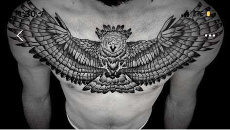 Traditional Tattoo Animals, Eagle Chest Tattoo, Cobra Tattoo, Harpy Eagle, Eagle Tattoos, Chest Tattoo Men, Eagle Tattoo, Incredible Tattoos, Top Tattoos