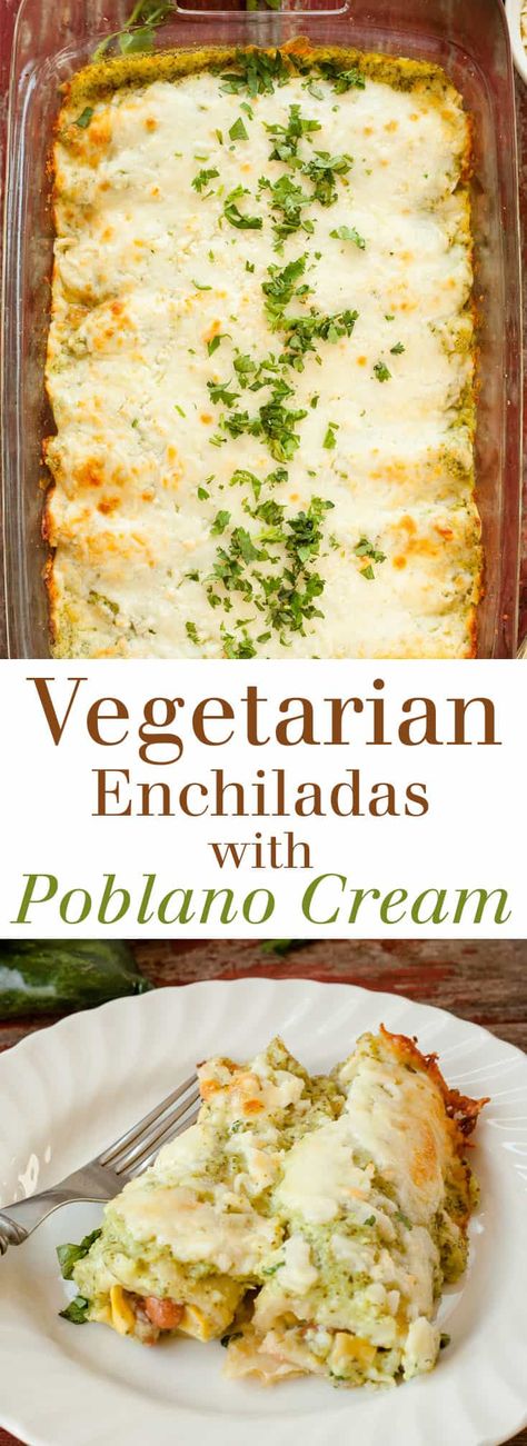 Enchiladas Mexicanas, Vegetarische Diners, Poblano Cream Sauce, Falafel Vegan, Dinner Cheap, Vegetarian Mexican Recipes, Vegetarian Enchiladas, Vegetarian Mexican, Meat Recipes For Dinner