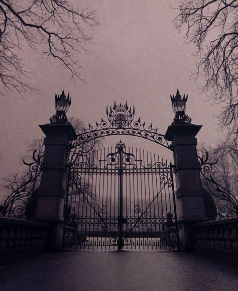 Goth Castle Aesthetic, Vampire House Aesthetic, Vampire Castle Aesthetic, Alyssacore Aesthetic, Gothic Castle Aesthetic, Nona Limmen, Era Victoria, Dark Royalty, Dark Castle