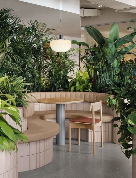 Banquette seating surrounded by greenery at Zendesk's Montreal office Sharing Tables, Earth Office, Seating Design, Traditional Desk, Booth Seating, Office Space Design, Space Photography, Scandi Design, Banquette Seating