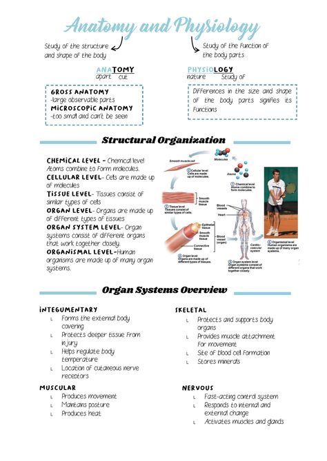 Nursing School Anatomy And Physiology, Anatomy And Physiology Printables, Introduction To Human Body Notes, Anatomy And Physiology Terminology, Anatomy And Physiology Bones Study, Best Way To Study Anatomy And Physiology, Anatomy Physiology Study, Biology Anatomy And Physiology, Anatomy 1 Notes