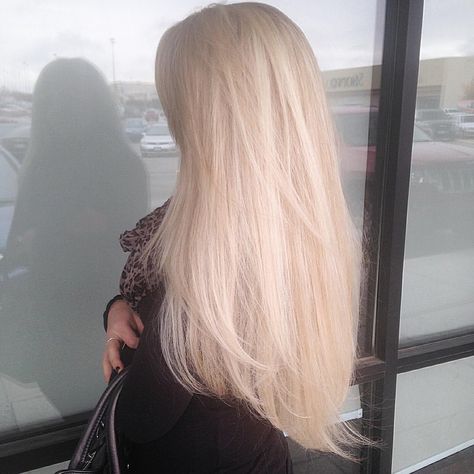 @alexandrahayes_hairdesign platinum blonde Thick Platinum Blonde Hair, Long Hair Platinum Blonde, Healthy Platinum Blonde Hair, Platunim Blonde Hair, Platinum Blonde Aesthetic, Long Platinum Hair, Platnium Blonde Hair, Pale Blonde Hair, Long Platinum Blonde