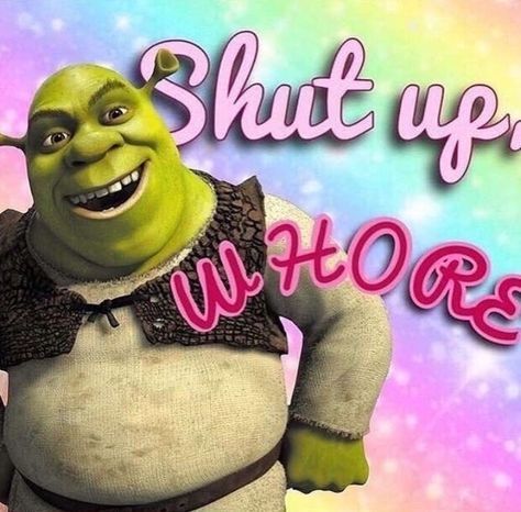 Shrek Memes, Snap Stickers, Response Memes, Snapchat Stickers, Reaction Photos, Snapchat Funny, Mia 3, Funny Profile, Funny Reaction