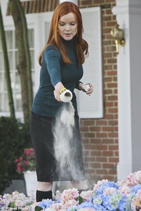 Beautiful containers Bree Van De Kamp Outfit, Bree Van De Kamp Aesthetic, Bree Vandecamp, Edie Britt, Angelcore Aesthetic, Marcia Cross, Wisteria Lane, Bree Van De Kamp, Tailored Clothes