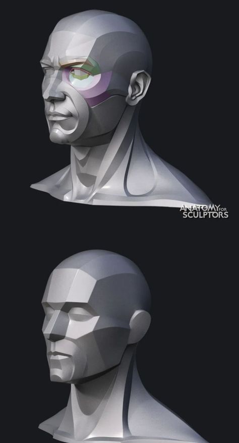 Face Topology, Human Muscle Anatomy, Head Anatomy, Face Angles, Face Anatomy, Interesting Drawings, Anatomy Sculpture, Sculpture Head, Human Sculpture