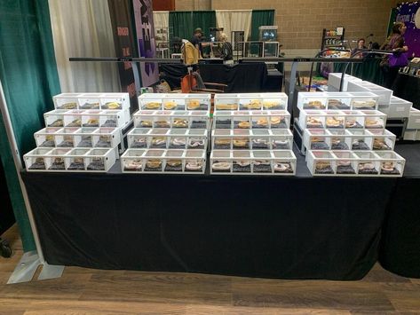 Reptile Expo, Expo Display, Reptiles, Tortoise, Pop Up