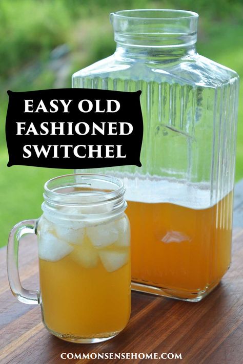 Nature's Gatorade, Haymakers Punch, Recipe With Apple Cider, Recipe With Apple, Electrolyte Drink Recipe, Switchel Recipe, Homemade Gatorade, Homemade Electrolyte Drink, Vinegar Drinks