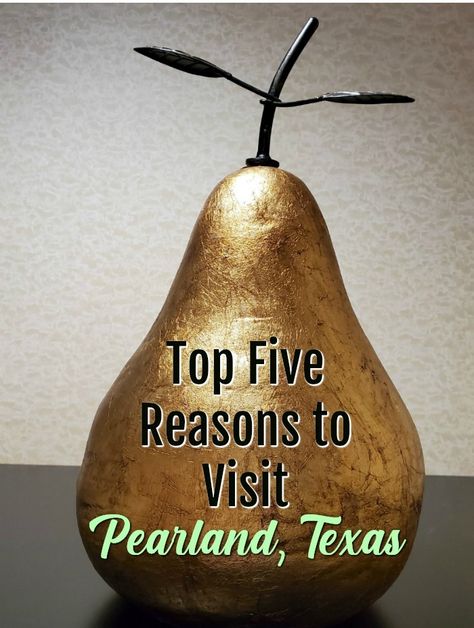 Top Five Reasons to Visit Pearland, Texas [AD] #VisitPearland #TXRoadTrip20 Elpaso Texas, Houston Aquarium, Pearland Texas Things To Do, Everythings Bigger In Texas, Texas Travel Weekend Getaways, Pearland Texas, Cabins In Texas, Top Five, Texas Travel Guide