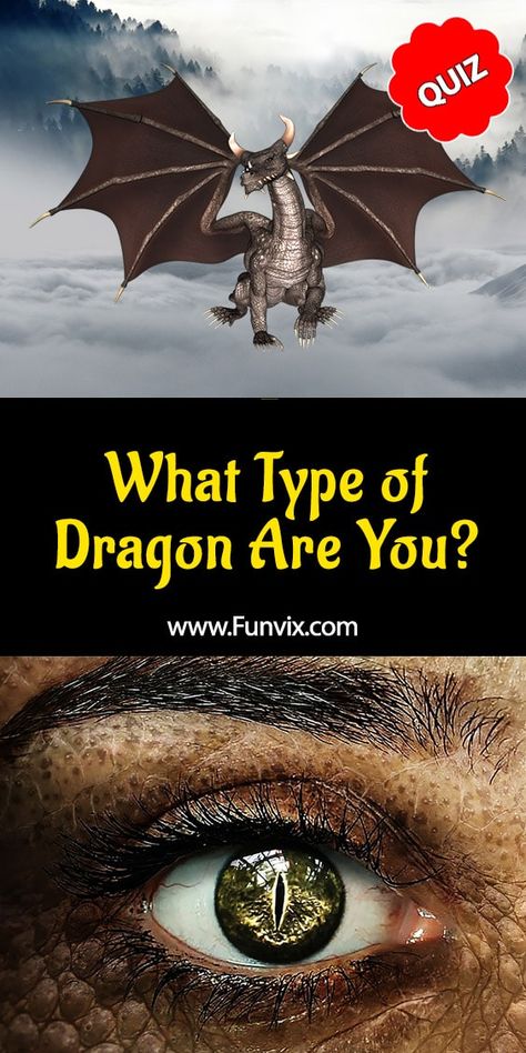 What Type of Dragon Are You?  Are you fearsome like an Amphiptere dragon, indestructible like Hydra, poisonous as a Wyvern, intelligent as a Drake, or cute as a Faerie dragon? It's time to find out. Take this personality quiz and find what type of dragon you are. #dragon #personalityquiz #quiz #quizzes #funvix Day Of Dragons Game, What Is Your Dragon Name, Wyrvens Dragon, Httyd Quiz, What Mythical Creature Are You Quiz, Dragon Abilities, Dragons Types, House Of Dragon Dragons, Amphiptere Dragon