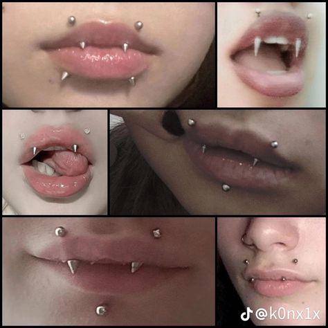 Fangs Piercing, Angel Fangs, Piercing Chart, Pretty Ear Piercings, Face Piercings, Cool Piercings, Facial Piercings, Cute Piercings, Body Jewelry Piercing