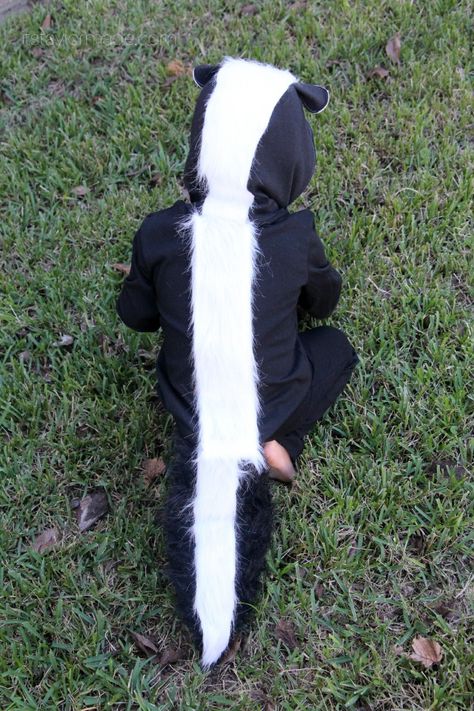 Diy Skunk Costume, Fox Costume For Kids, Skunk Halloween, Skunk Costume, Family Themed Halloween Costumes, Caterpillar Costume, Fox Costume, Kids Zoo, Clever Halloween Costumes