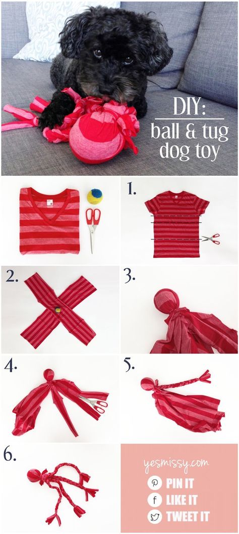 Make this easy DIY, no sew ball and tug toy from an old t-shirt and tennis ball! Diy Chat, Katt Grejer, Diy Pet Toys, Diy Dog Toys, Puppy Stuff, Dog Projects, Dog Crafts, Toy Puppies, Diy Dog