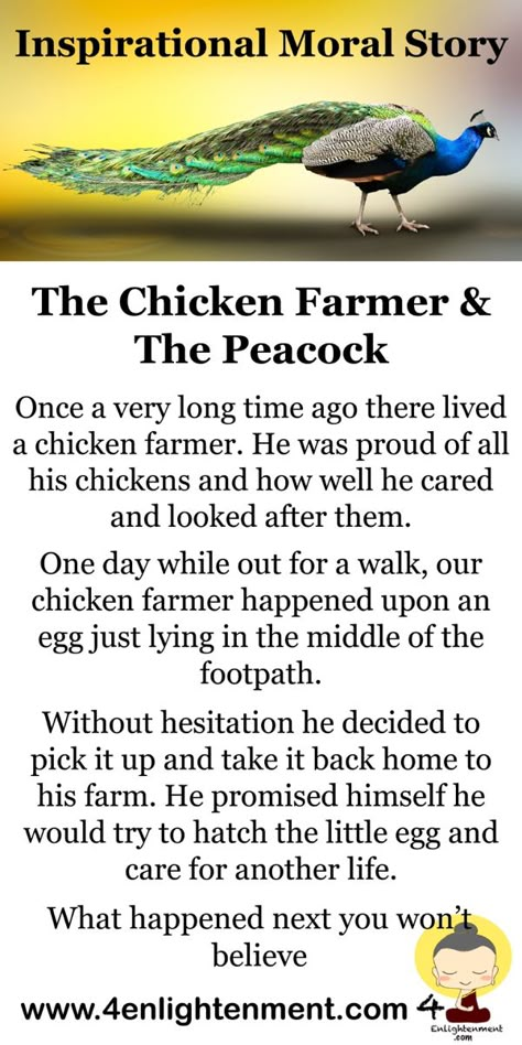 Short inspirational moral story the chicken farmer and the peacock Small English Story With Moral, Stories With Moral Lessons In English, Inspirational Story In English, Short Story With Moral Lesson, Moral Stories Life Lessons, Short Moral Stories In English, Moral Stories For Kids English, Short Stories With Moral Lessons, Small Story With Moral