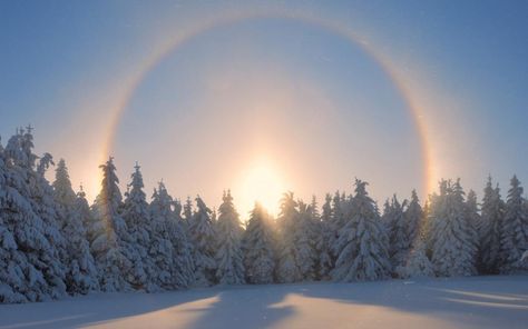 Sun halos Moon Halo, Ring Around The Moon, Happy Winter Solstice, Sun Dogs, Snow Covered Trees, Image Nature, Winter Scenery, Natural Phenomena, Winter Solstice